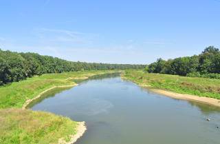 The Oder near Lubiąż towards the north, © Chr. Mielzarek