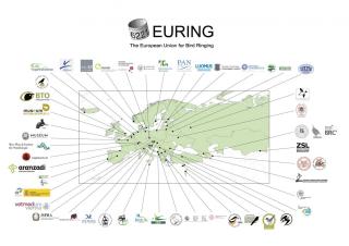Mitgliedsorganisationen der European Union for Birdringing © EURING
