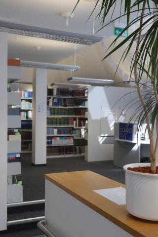 Blick in den Eingangsbereich der Bibliothek. Am rechten Bildrand steht eine Zimmerpflanze auf einem Vorsprung, links in etwas Entfernung befindet sich die Infotheke der Bibliothek.