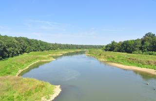 Flusslandschaft mit ruhigem Wasser, bewachsenen Uferbereichen und Bäumen im Hintergrund unter blauem Himmel.