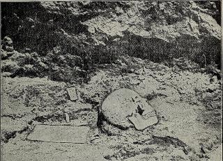 Schwarz-weiße Aufnahme eines menschlichen Schädels, der teilweise im Boden vergraben liegt, umgeben von Erdschichten.