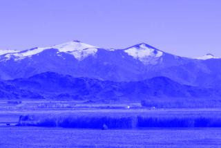 Blick auf den Oberlauf des Ertis-Flusses mit Schilf und Bergen im Hintergrund, einige Gipfel schneebedeckt.