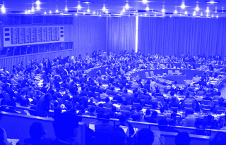 Der Ad-hoc-Ausschuss der Vereinten Nationen
