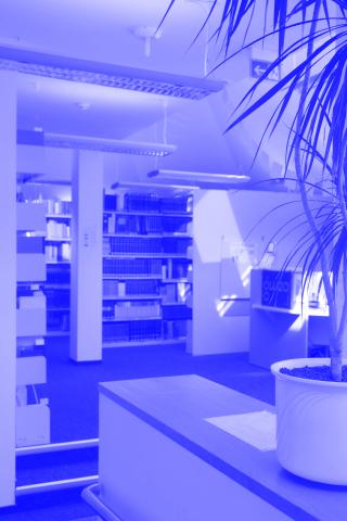 Blick in den Eingangsbereich der Bibliothek. Am rechten Bildrand steht eine Zimmerpflanze auf einem Vorsprung, links in etwas Entfernung befindet sich die Infotheke der Bibliothek.