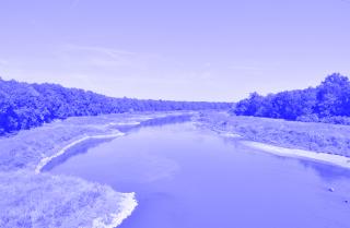Flusslandschaft mit ruhigem Wasser, bewachsenen Uferbereichen und Bäumen im Hintergrund unter blauem Himmel.