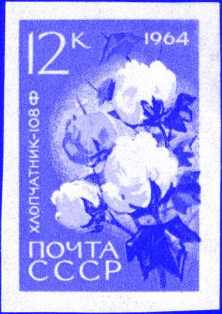 sowjetische Postkarte mit Baumwolle