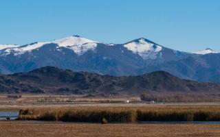 Blick auf den Oberlauf des Ertis-Flusses mit Schilf und Bergen im Hintergrund, einige Gipfel schneebedeckt.